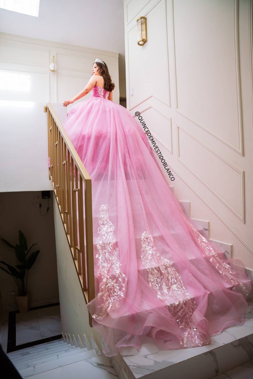 Vestido de quinceañera rosa corte princesa con tul bordado y cauda desmontable