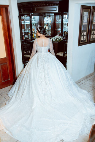 Mi Vestido Blanco - Vestido de Novia Corte Princesa con Mangas Largas ilusión, Pedrería fina y Cauda de 3 metros