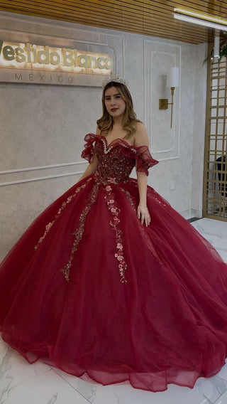 Mi Vestido Blanco - Vestido de XV Vino