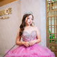 Vestido de quinceañera rosa corte princesa con tul bordado y cauda desmontable